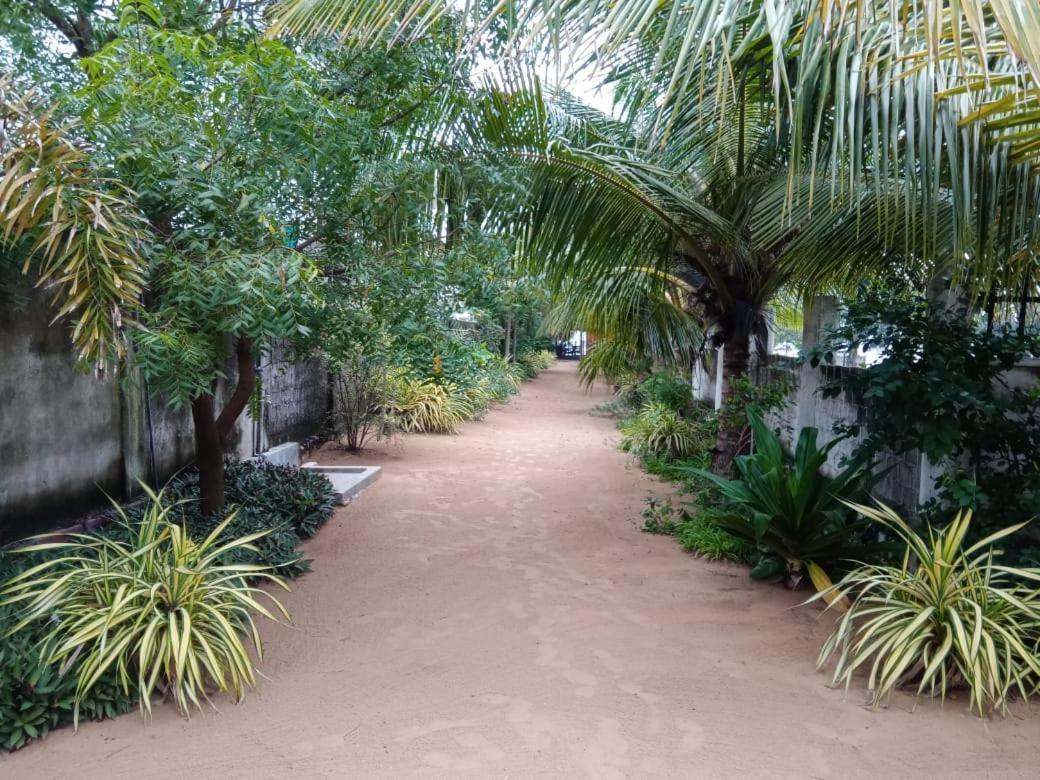Elegant Green Beach Resort تريكونامالاي المظهر الخارجي الصورة